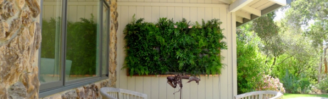 Aliexpress Home and Garden